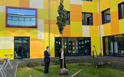 Gymnasium und Oberstufe in Stockelsdorf